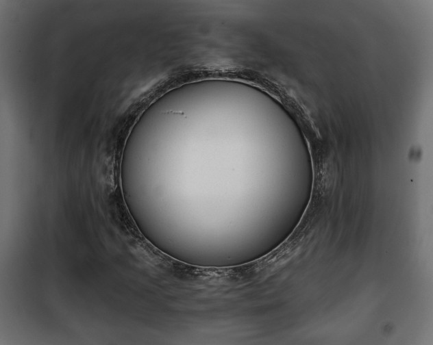 X0000101391205200807141124