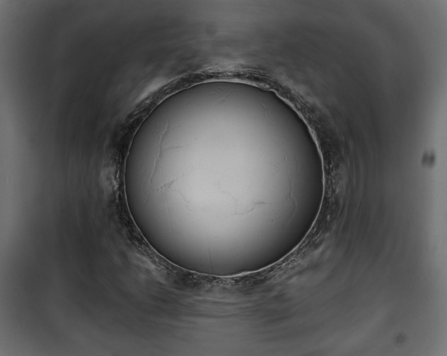 X0000101391206200807141124