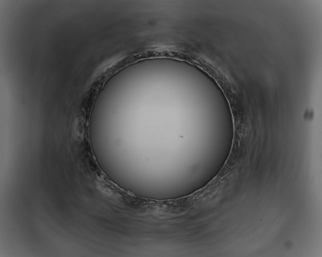 X0000101391207200807141124