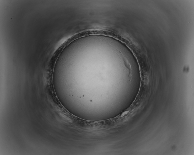 X0000101391208200807141124