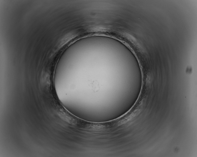 X0000101391209200807141124