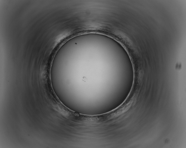 X0000101391210200807141125