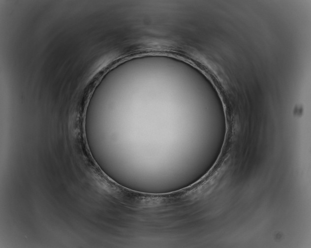 X0000101391211200807141125