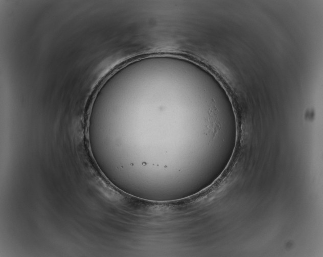 X0000101391212200807141125