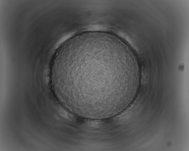 X0000101391213200807141125