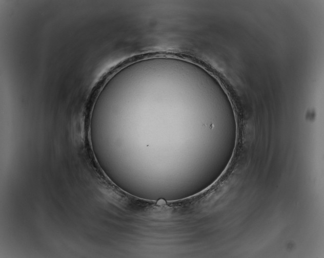 X0000101391214200807141125