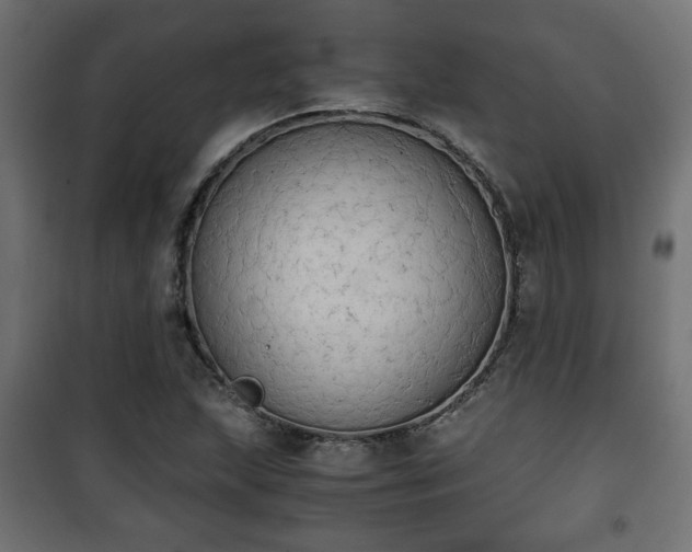 X0000101391215200807141125