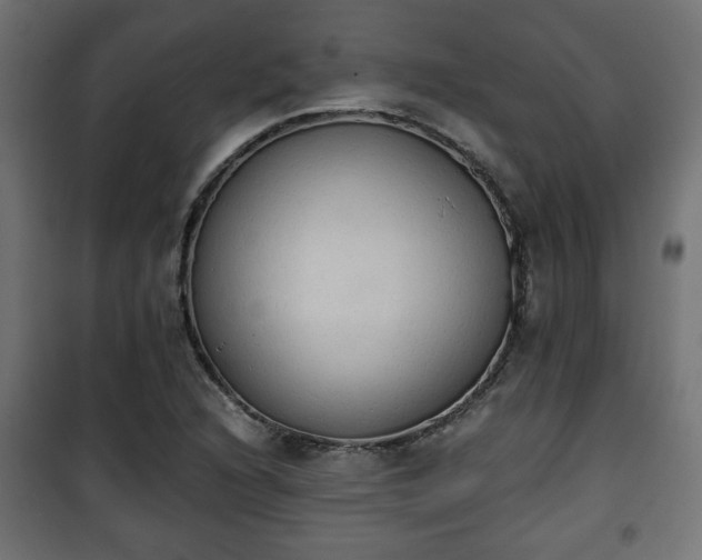 X0000101391216200807141125