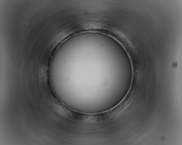 X0000101391217200807141125