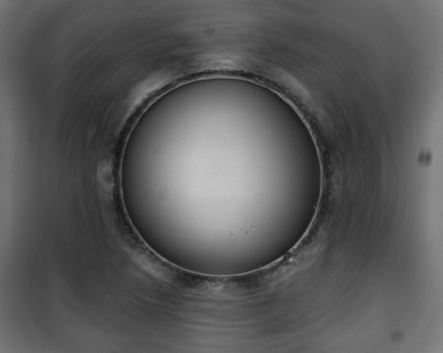 X0000101391218200807141125