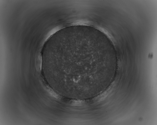 X0000101391219200807141125