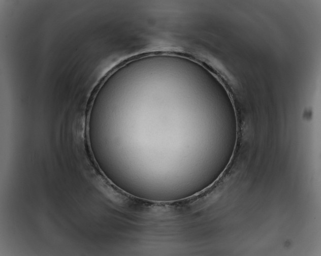 X0000101391220200807141125