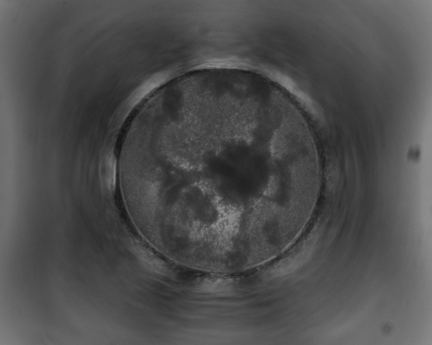 X0000101391221200807141125