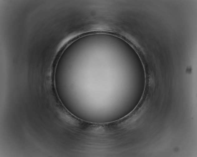 X0000101391222200807141125