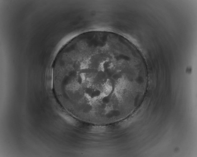 X0000101391223200807141125