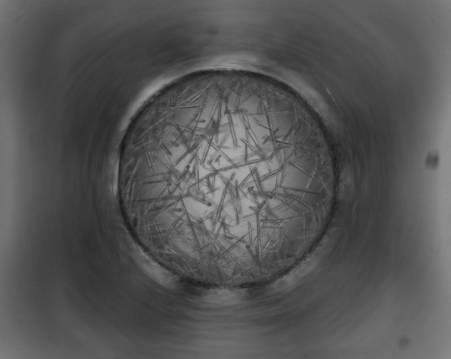 X0000101391224200807141125