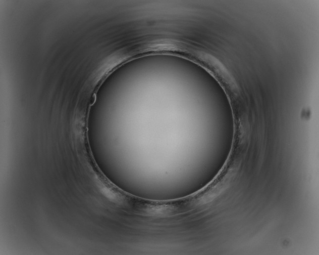 X0000101391225200807141125