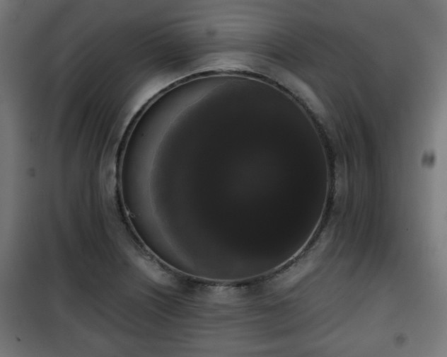 X0000101391226200807141125