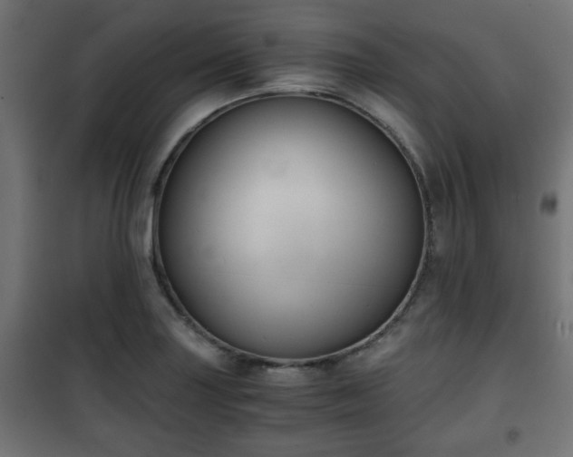 X0000101391227200807141125