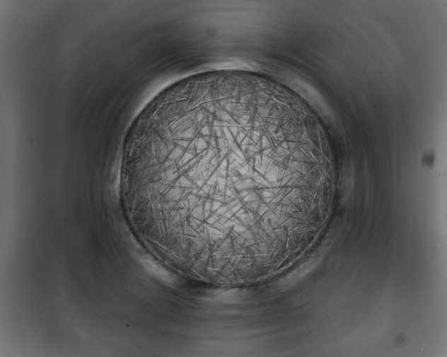 X0000101391228200807141125