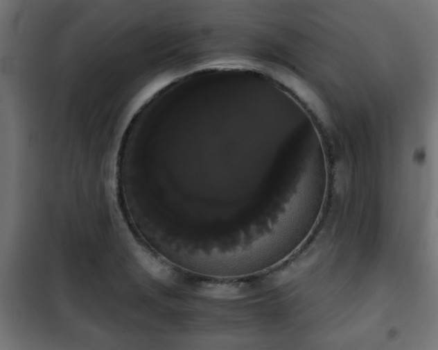 X0000101391229200807141125