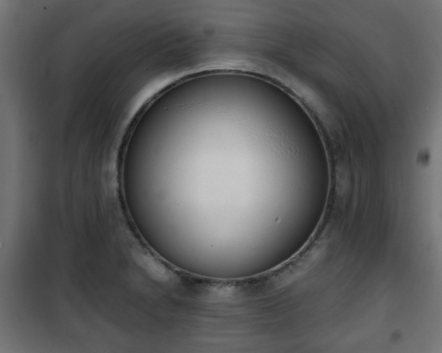 X0000101391230200807141125