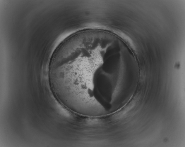 X0000101391231200807141125