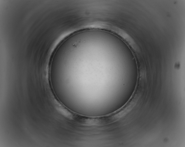 X0000101391232200807141125