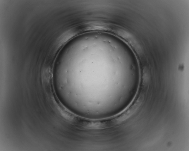 X0000101391233200807141125