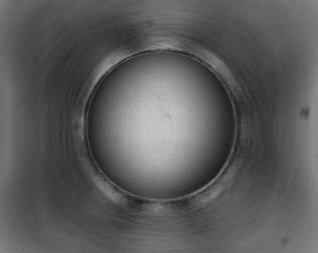 X0000101391234200807141125