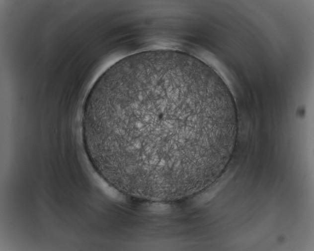 X0000101391235200807141125