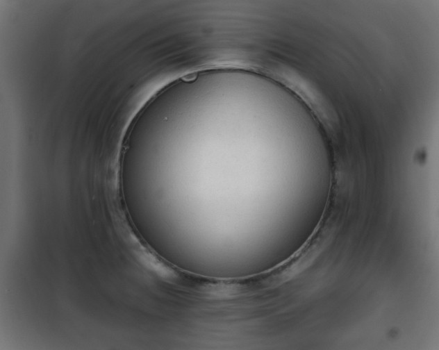 X0000101391236200807141125