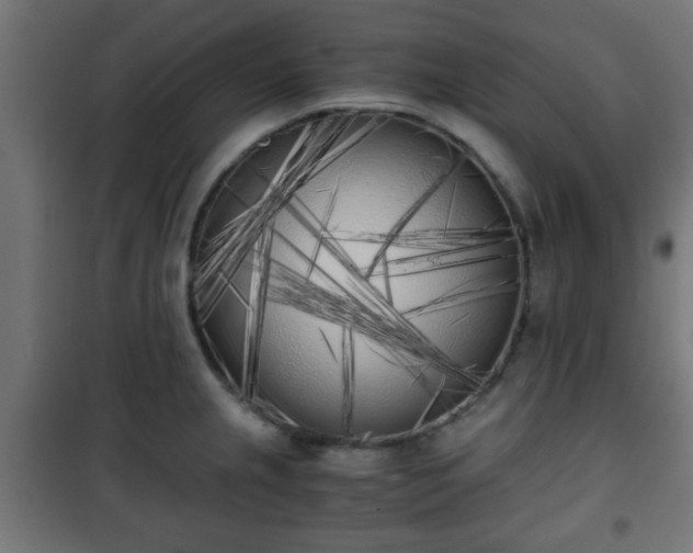 X0000101391237200807141125
