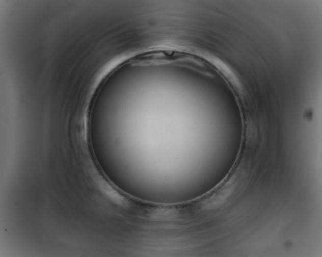 X0000101391238200807141125