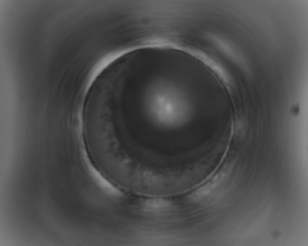 X0000101391239200807141125