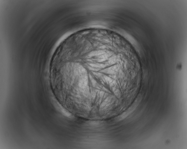 X0000101391240200807141125