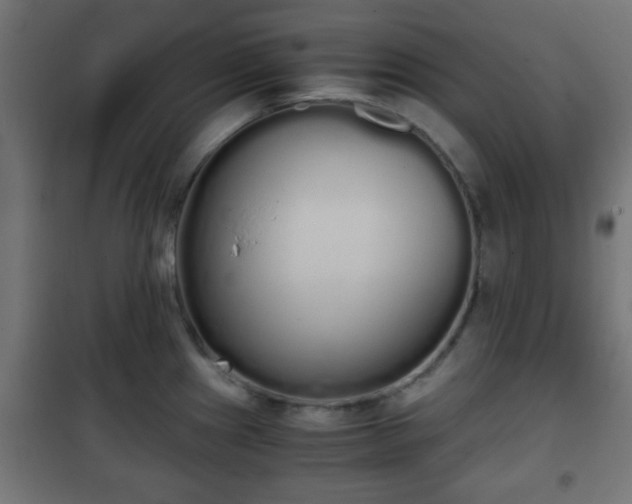 X0000101391241200807141125