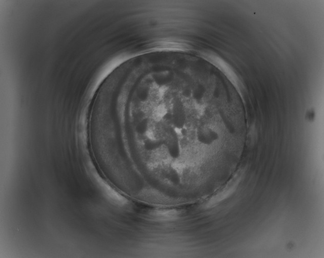 X0000101391243200807141125