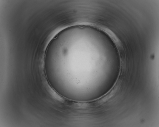 X0000101391244200807141125