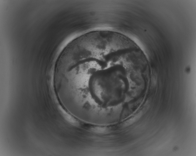 X0000101391245200807141125