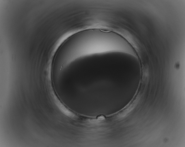 X0000101391246200807141125