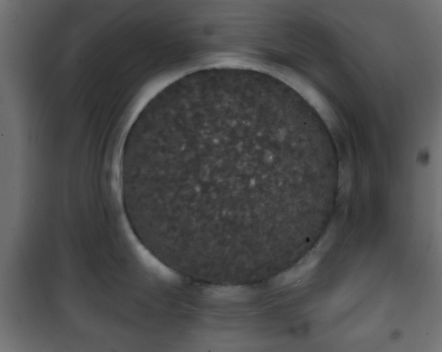 X0000101391247200807141125