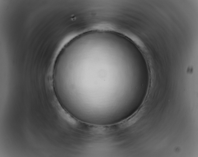 X0000101391248200807141125