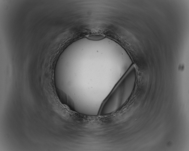 X0000101391249200807141124