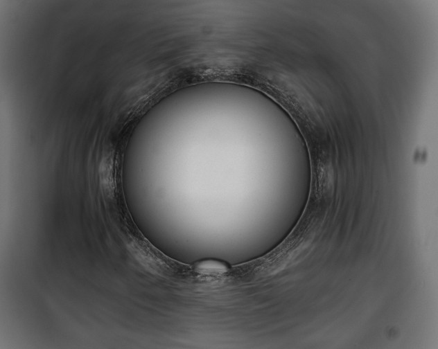 X0000101391250200807141124