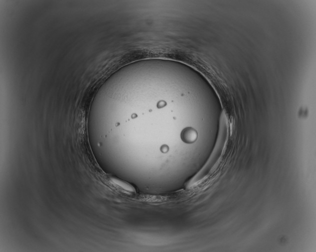 X0000101391251200807141124