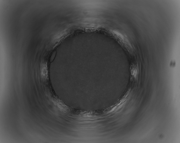 X0000101391252200807141124