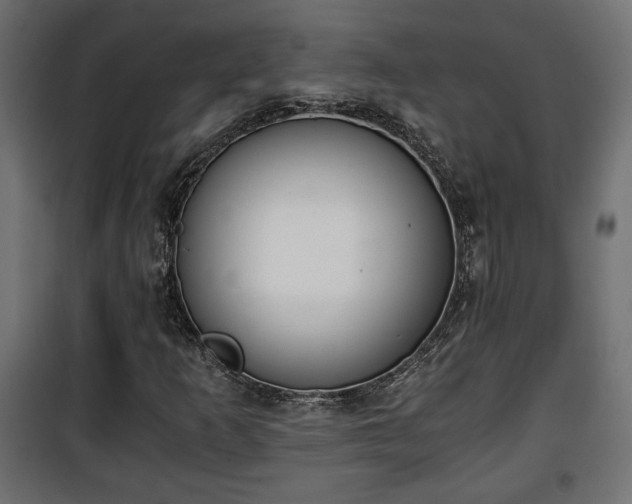 X0000101391253200807141124