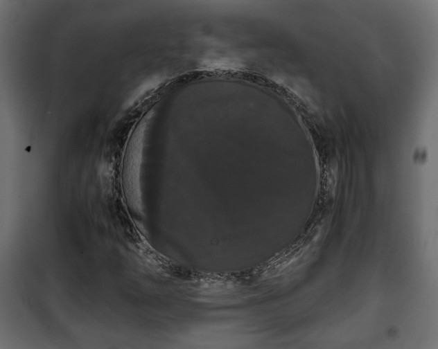 X0000101391254200807141124