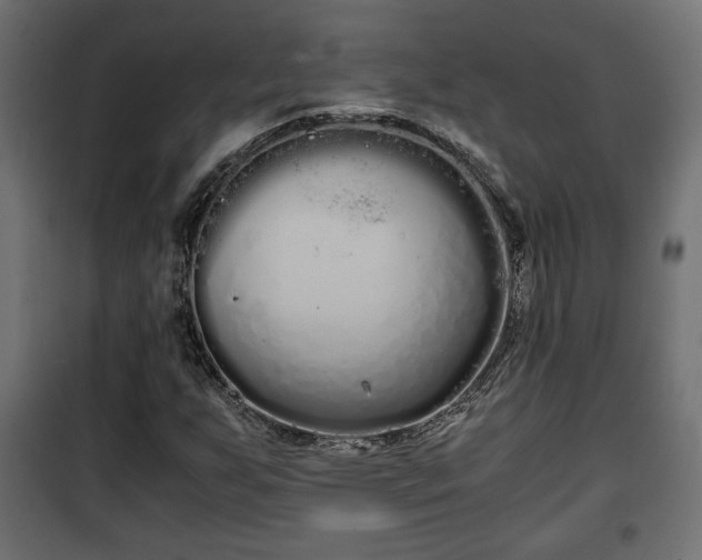 X0000101391255200807141124